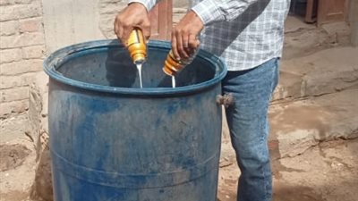 انطلاق حملة لمكافحة النمل الأبيض بالفيوم