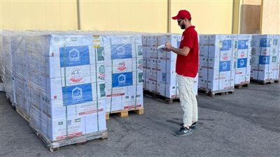 وصول طائرة باكستانية إلى مطار العريش لدعم أهالي غزة تحمل 100 طن مساعدات