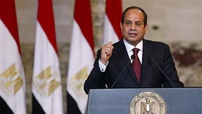 الرئيس السيسي يدعو الشركات الكورية الجنوبية لدخول السوق المصرية