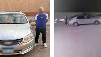 القبض على سائق تطبيق نقل ذكي لاتهامه بوضع طعام مسمم للكلاب في حدائق الأهرام 