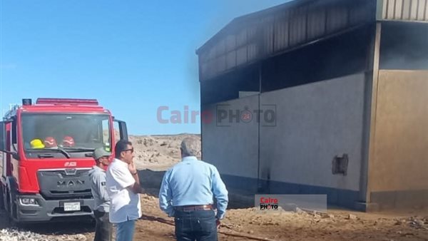 القليوبية في 24