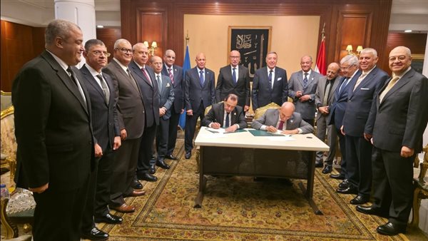 المحكمة الدستورية