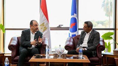 من الكيماويات إلى السياحة.. مشروعات استراتيجية جديدة لقطاع الأعمال في السويس