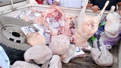 ضبط ربع طن لحوم مذبوحة خارج المجازر بالمنوفية