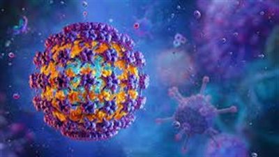 متحدث الصحة يكشف حقيقة وجود فيروس مجهول أو شديد الخطورة منتشر في مصر 