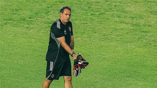 أمير عبد الحميد