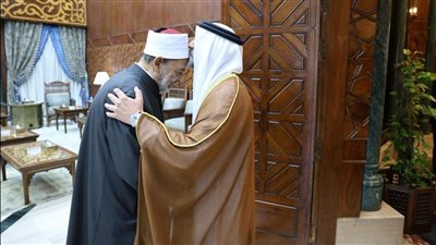 شيخ الأزهر يشيد بدعم الإمارات الإغاثي والإنساني للشعب الفلسطيني