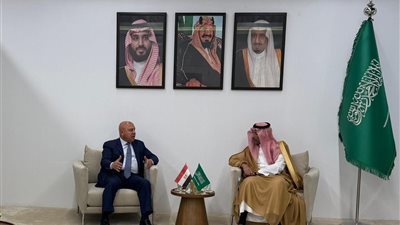 كامل الوزير: نتطلع إلى جذب استثمارات سعودية في الألومنيوم والصناعات الكيماوية