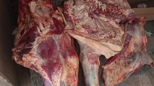 ضبط لحوم بأختام مزورة