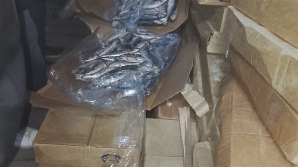 ضبط أسماك غير صالحة