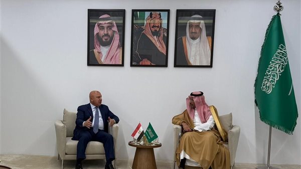 كامل الوزير