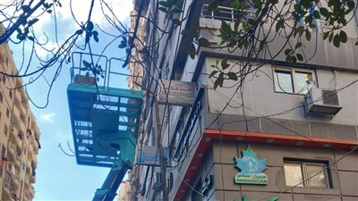 رئيسة حي وسط بالإسكندرية توجه باستمرار أعمال رفع كفاءة الإضاءة العامة