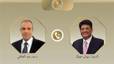 وزير الخارجية يبحث مع وزير التجارة الهندي سبل تعزيز التعاون ومضاعفة الاستثمارات الهندية في مصر