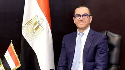 وزير الاستثمار يلتقي وزير التجارة والصناعة الجنوب إفريقي لبحث تعزيز العلاقات الاقتصادية بين البلدين