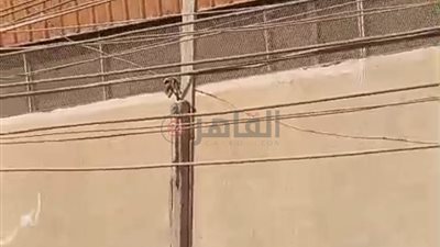 أهالي الخوري بالفيوم يستغيثون: غياب أعمدة الإنارة وعدم إدخال الصرف الصحي يهددان حياة السكان