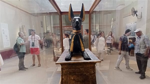 صورة لـ أنوبيس 