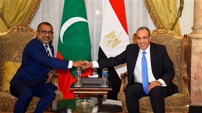 مشاورات سياسية بين وزيري خارجية مصر والمالديف