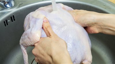 أفضل طرق للتخلص من زفارة الفراخ.. جزء مختبئ في الضلوع يخدعك 