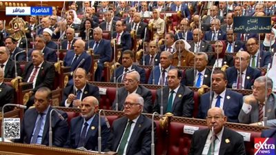 انتخاب شوقي علام رئيسا للجنة الشئون الدينية بمجلس الشيوخ