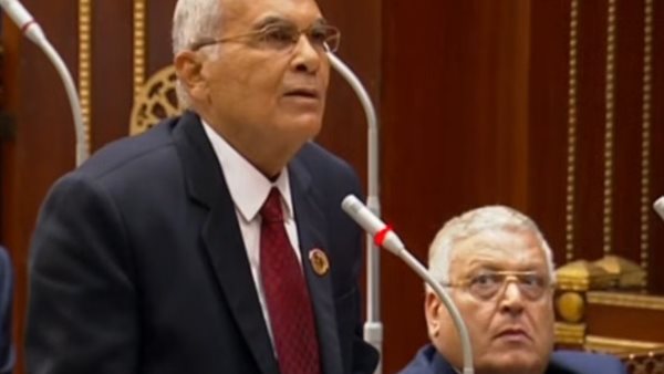 المستشار عصام الدين