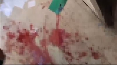 تعليم القليوبية تحيل واقعة تعدي عاملة على معلمة بإحدى المدارس للتحقيق 