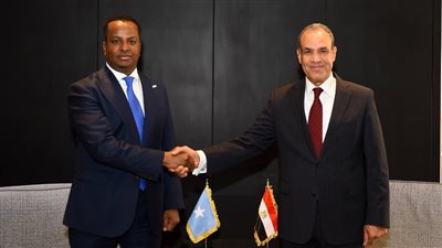 وزير الخارجية: نتطلع لسرعة انتهاء إجراءات نشر القوات المصرية في الصومال