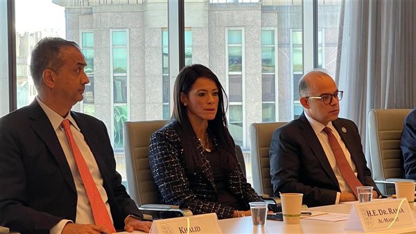 رئيس الرقابة المالية