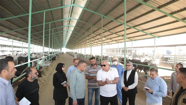 جانب من جولة محافظ