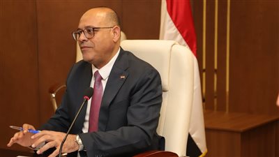 وزير العمل: تحديد الحد الأدنى للأجور يتم في توقيتات محددة من خلال المجلس القومي للأجور