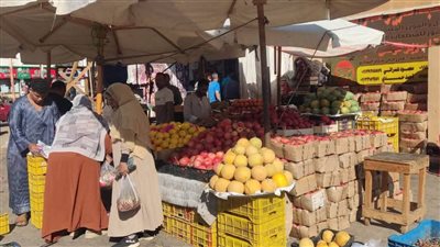 التوسع في منافذ الخير بالوادي الجديد لطرح السلع والخضروات بأسعار مخفضة للمواطنين