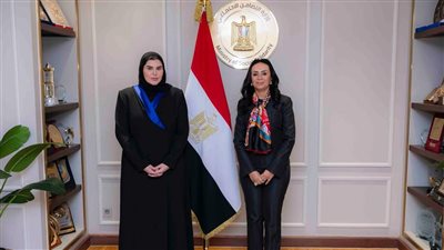 تعاون مصري قطري لتكثيف المساعدات الإغاثية الإنسانية لقطاع غزة