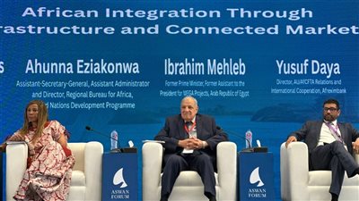 مجموعة بيت الخبرة تشارك في ختام منتدى أسوان للسلام والتنمية المستدامين