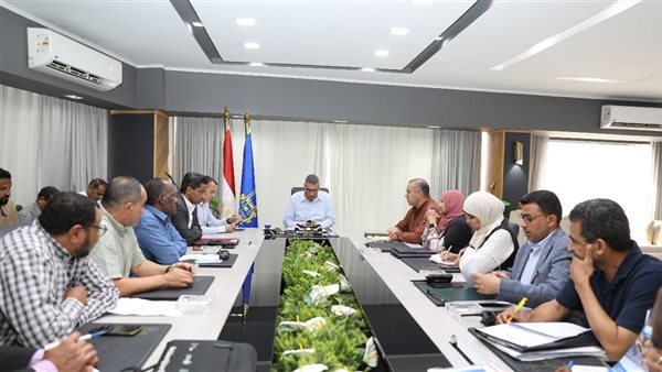 محافظ أسوان