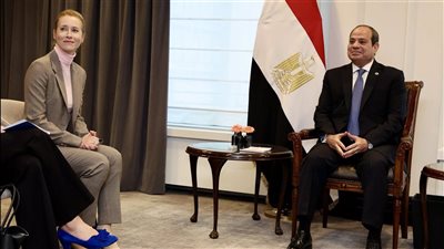 ممثلة خارجية الاتحاد الأوروبي خلال لقائها السيسي: مستعدون للعمل مع مصر في جميع القضايا الدولية 