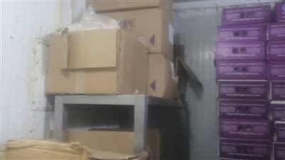 ضبط طن أسماك ومصنعات غير صالحة للاستهلاك الآدمي خلال حملة تفتيشية بالقليوبية