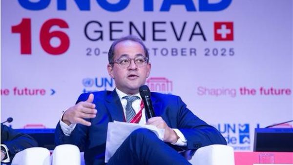 وزير المالية