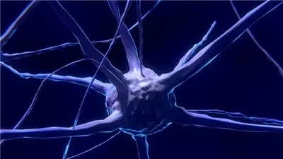 بقيادة حائز على نوبل.. مشروع علمي ضخم لكشف أسرار الحاسة السادسة | ما القصة؟