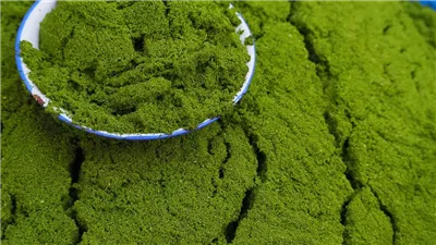 كرات اللحم النباتية.. نبات خارق يحافظ على شباب الدماغ ويعزز الصحة العامة