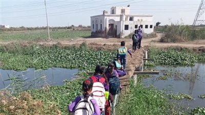 كوبري من الخشب المتهالك يهدد حياة الطلاب والمصلين بقرية عايد ببورسعيد.. والأهالي يستغيثون| صور 