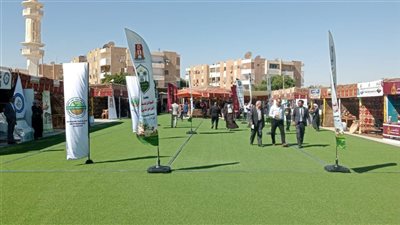 إطلاق المرحلة الرابعة لزراعة 100 مليون شجرة بالوادي الجديد