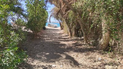 مجلس مدينة طور سيناء يستجيب لشكاوى المواطنين وينظف مدخل شاطئ الكيلاني| صور