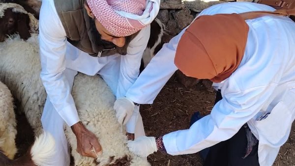 تحصين الحيوانات والناشئة