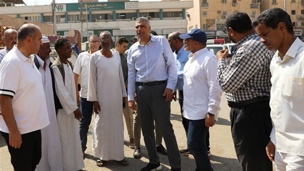 محافظ أسوان