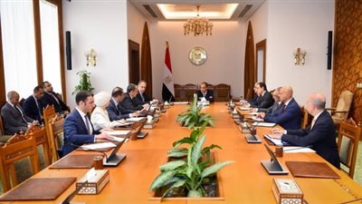 وزير الخارجية يتابع استعدادات افتتاح المتحف المصري الكبير