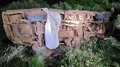 لسعات النحل أنهت حياتهما.. وفاة أب وابنته بعد حادث اصطدام على الطريق بالبرازيل | ما القصة؟