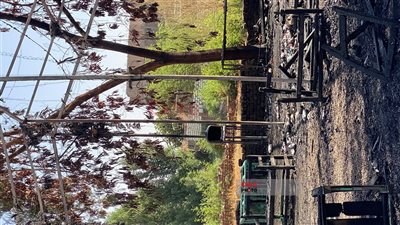 بسبب ماس كهربائي.. حريق يلتهم كافتيريا في منطقة العوامية بالأقصر | صور