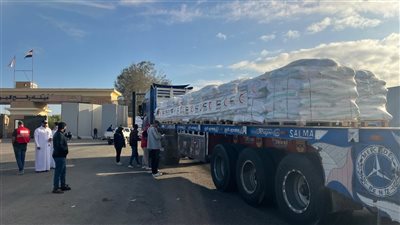 عبور 30 شاحنة مساعدات إماراتية إلى معبر كرم أبو سالم تمهيدًا لدخولها غزة