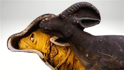 تعود لعام 945 قبل الميلاد| المتحف المصري يعرض الغزالة المحنطة.. تحفة نادرة تكشف عبقرية المصري القديم