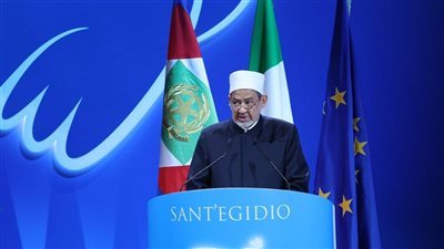 شيخ الأزهر: أقدر مواقف الشرفاء من أحرار العالم لاستنكار مجازر غزة