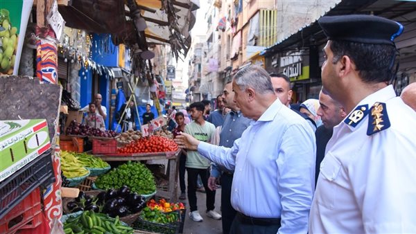 محافظ الإسكندرية